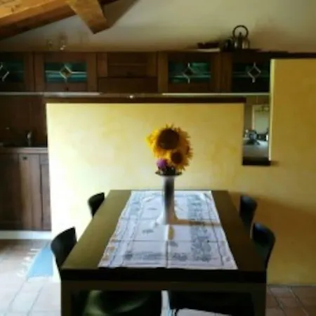 Terre Celesti: Girasole Mercato Vecchio